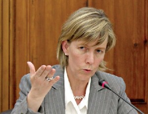 Ministra das Finanças pediu informações a várias empresas