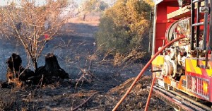 Quarenta e cinco bombeiros combateram as chamas junto à ribeira onde nascem os mosquitos