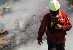 Centenas de bombeiros têm lutado contra as chamas, a maioria das quais  com origem criminosa