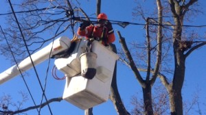 Um trabalhador da Toronto Hydro repara uma linha de eletricidade danificada - foto de arquivo. (Cam Woolley)