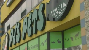 Um espaço PJ's Pets na Yonge Street, em Toronto, nesta foto de arquivo