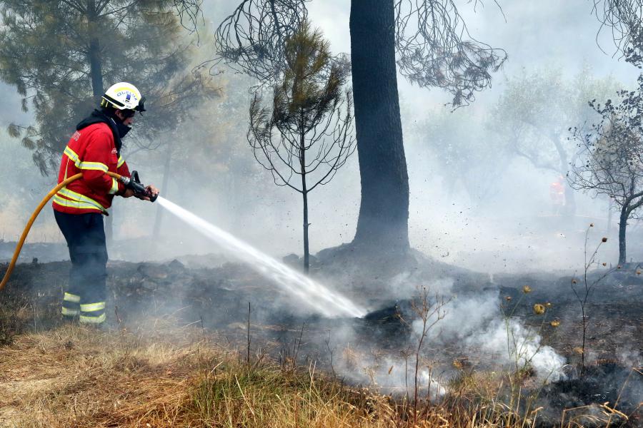 Doze Concelhos De Cinco Distritos Do Continente Em Risco MÁximo De IncÊndio Correio Da Manhã 9690