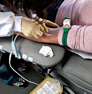 O plasma proveniente das doações de sangue está congelado