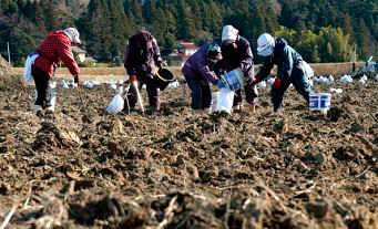 Fukushima dois anos depois do terramoto