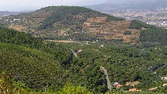 3.500 ÁRVORES DEVOLVIDAS À SERRA DA GARDUNHA