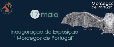 MORCEGOS PARA VISITAR NA TAPADA DE MAFRA