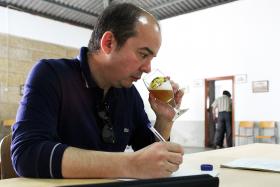 CERVEJA ARTESANAL ASSUME PROTAGONISMO EM FESTIVAL DE BELMONTE