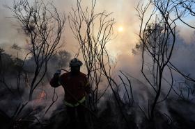 DOMINADO INCÊNDIO EM VASSAL, PRÓXIMO DE VALPAÇOS