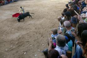 FESTAS DE BARRANCOS COM TOUROS DE MORTE ARRANCAM NA QUINTA-FEIRA