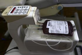 RESERVAS DE SANGUE EM PORTUGAL COM NÍVEL “CONFORTÁVEL”, APESAR DAS FÉRIAS