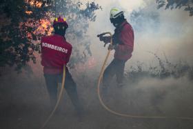 MAIS DE 130 OPERACIONAIS COMBATEM CHAMAS NO PORTO E EM VISEU