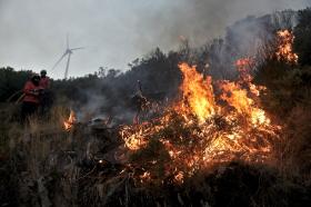 EM PORTUGAL ARDEU, EM 2013, METADE DA ÁREA DA EUROPA EM FOGOS FLORESTAIS