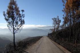 INCÊNDIO: DOMINADO ÀS 18:05 FOGO NA ZONA DO CABO DA ROCA