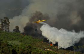 INCÊNDIOS: SOBE PARA 99 OPERACIONAIS A COMBATER FOGO NA ZONA DO CABO DA ROCA