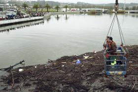 PROTEÇÃO CIVIL DOS AÇORES ALERTA PARA PREVISÕES DE CHUVA PARA SETE ILHAS