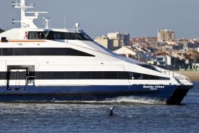 ADIAMENTO DA MANUTENÇÃO PERTURBA LIGAÇÕES FLUVIAIS ENTRE O BARREIRO E LISBOA