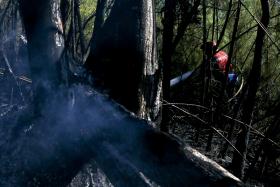 INCÊNDIOS: DOMINADO ÀS 17:10 FOGO EM ARCOS DE VALDEVEZ