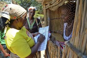 MOÇAMBIQUE/ELEIÇÕES: O ZELO DAS MULHERES “DA FRELIMO” NA LIÇÃO DO X EM NYUSI