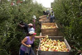 UM QUINTO DAS EMPRESAS ALIMENTARES ESPERA FATURAR 50% NO ESTRANGEIRO EM 2020 – ESTUDO