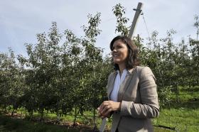 CRISTAS ESTUDA SUSPENSÃO DE PAGAMENTO POR CONTA PARA PRODUTORES DE TOMATE