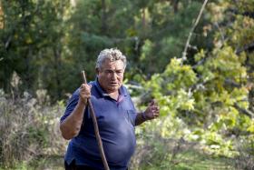 AGRICULTOR DE MONTESINHO INCORRE EM COIMA ATÉ 85 MIL EUROS POR LIMPAR UM TERRENO