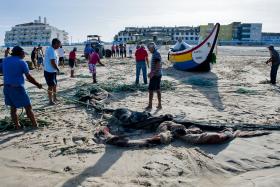 PESCADORES NAUFRAGADOS VOLTARAM À PRAIA PARA RECOLHER MATERIAL