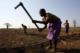 CABO VERDE PRECISA DE 1,8 ME PARA FAZER FACE A EVENTUAL MAU ANO AGRÍCOLA