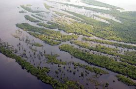 DESFLORESTAÇÃO NA BACIA BRASILEIRA DO AMAZONAS AUMENTOU 450% EM OUTUBRO