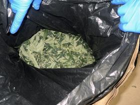 POLÍCIA APREENDE 500 QUILOS DE CANNABIS NO CENTRO DE MOÇAMBIQUE