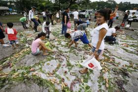 FAO HOMENAGEIA PAÍSES QUE TIVERAM PROGRESSOS RECENTES NA LUTA CONTRA A FOME