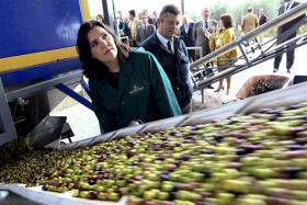 MINISTRA DA AGRICULTURA ANUNCIA FISCALIDADE FLORESTAL PARA PEQUENOS PROPRIETÁRIOS