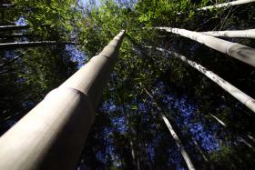 GREEN PROJECT AWARDS PREMEIAM HOJE MELHORES INICIATIVAS AMIGAS DO AMBIENTE