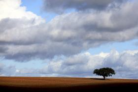 ALENTEJO ELEITO COMO DESTINO A VISITAR ESTE ANO PELO JORNAL THE NEW YORK TIMES