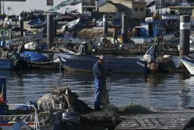 OBRIGAÇÃO DE DESEMBARCAR PEIXES CAPTURADOS ENTRA HOJE EM VIGOR