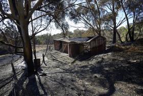 SEGURADORAS DECLARAM INCÊNDIOS NO SUL DA AUSTRÁLIA UMA CATÁSTROFE