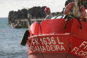 DIREÇÃO DE PESCAS DA MADEIRA TENTAM CONTORNAR PROIBIÇÃO DE CAPTURA DE ‘GATA’