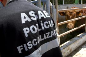 SULFITOS DETETADOS EM CARNE DE VACA PICADA PODEM SER UTILIZADOS – ASAE