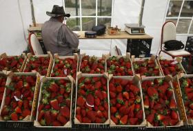 PORTUGAL PRESENTE NA MAIOR FEIRA DE FRUTAS E LEGUMES DO MUNDO DE OLHO NA CHINA