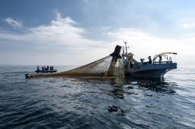 AQUACULTURA RECLAMA IGUALDADE FISCAL COM AGRICULTURA E PESCAS