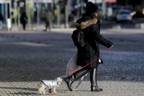 FRIO VAI AFETAR CONTINENTE ATÉ À PRÓXIMA TERÇA-FEIRA – IPMA