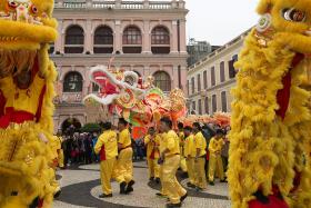 DRAGÃO DOURADO COM 238 METROS SAÚDA O ANO DA CABRA NAS RUAS DE MACAU