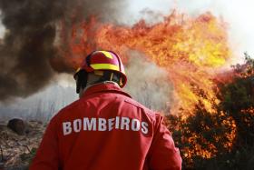 INCÊNDIOS: FOGO EM SEVER DO VOUGA COMBATIDO POR 200 BOMBEIROS