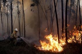 INCÊNDIOS: FOGO NO DISTRITO DO PORTO MOBILIZA QUASE CEM BOMBEIROS