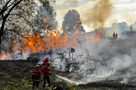 80 BOMBEIROS NO COMBATE ÀS CHAMAS EM DOIS INCÊNDIOS NO NORTE