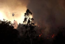 DOMINADO INCÊNDIO DE SEVER DO VOUGA COMBATIDO POR MAIS DE 300 BOMBEIROS