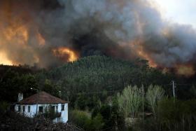 PJ DETÉM SUSPEITO DE TER ATEADO INCÊNDIO DE QUINTA-FEIRA EM SEVER DO VOUGA