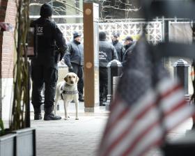 VÁRIOS POLÍCIAS NORTE-AMERICANOS SUSPENSOS POR EXCESSO DE VIOLÊNCIA