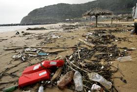 APLICAÇÃO PARA TELEMÓVEL PERMITE REGISTAR DADOS SOBRE LIXO RECOLHIDO NA PRAIA