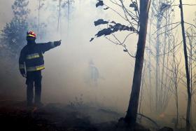 CONCELHOS DE MONCHIQUE E DE MAÇÃO EM RISCO MÁXIMO DE INCÊNDIO – IPMA