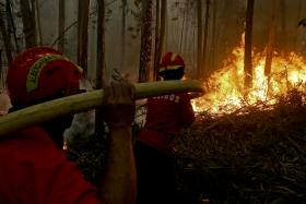 BOMBEIROS DEFENDEM HABITAÇÕES EM CAMINHA